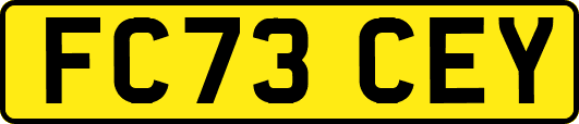FC73CEY
