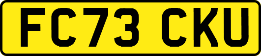 FC73CKU