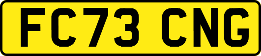 FC73CNG