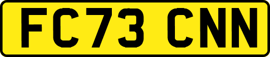 FC73CNN