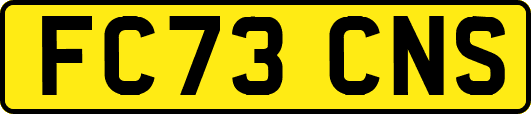 FC73CNS