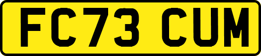FC73CUM