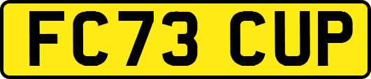 FC73CUP