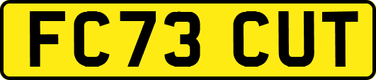 FC73CUT