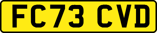 FC73CVD