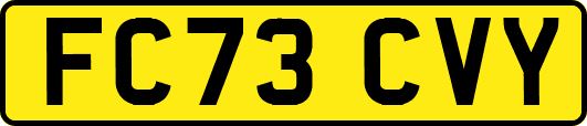 FC73CVY
