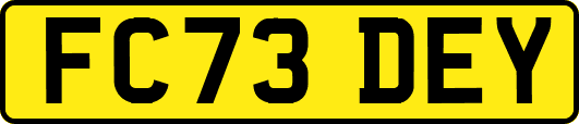 FC73DEY