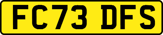FC73DFS