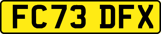 FC73DFX