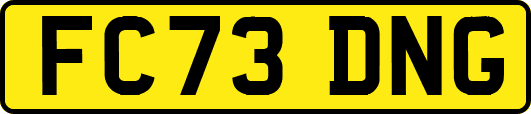 FC73DNG