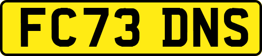 FC73DNS