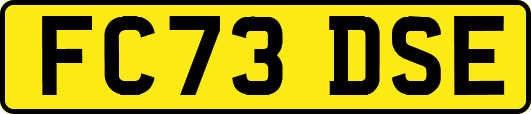 FC73DSE