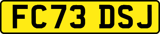 FC73DSJ