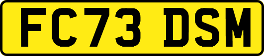 FC73DSM