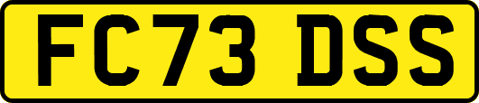 FC73DSS