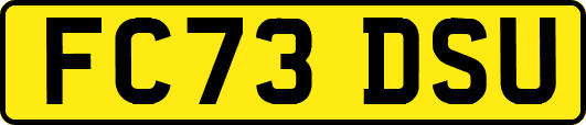 FC73DSU