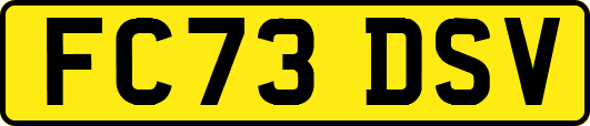 FC73DSV