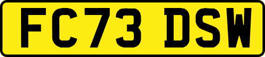 FC73DSW