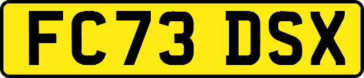 FC73DSX