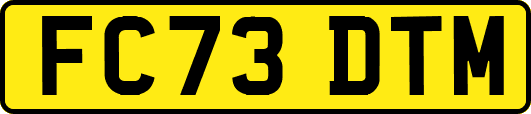FC73DTM