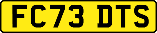 FC73DTS