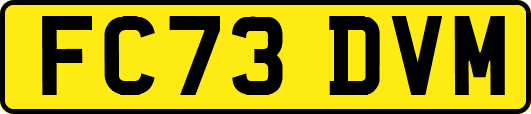 FC73DVM