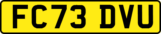 FC73DVU