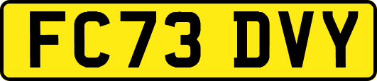 FC73DVY