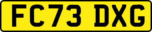 FC73DXG