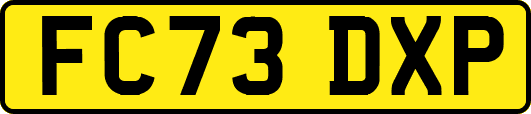 FC73DXP