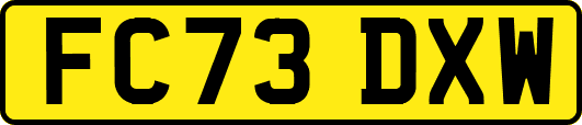 FC73DXW