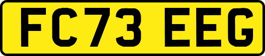 FC73EEG