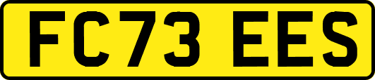 FC73EES
