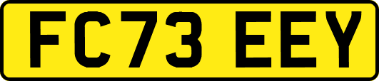 FC73EEY