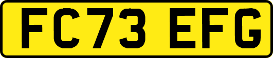 FC73EFG