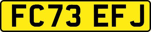 FC73EFJ