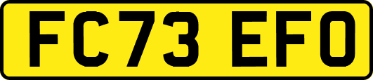 FC73EFO