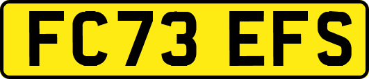 FC73EFS