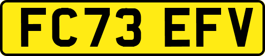 FC73EFV