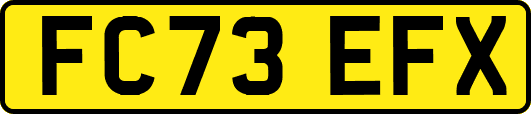 FC73EFX