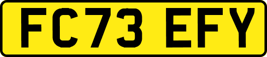 FC73EFY
