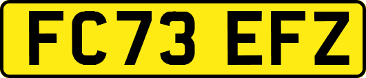 FC73EFZ