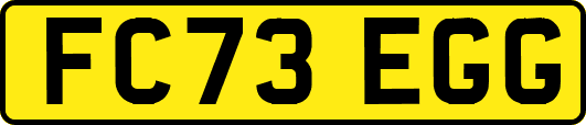 FC73EGG