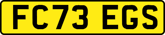 FC73EGS