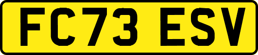 FC73ESV