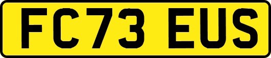 FC73EUS