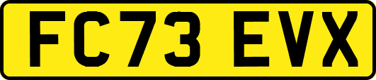 FC73EVX