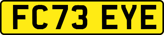 FC73EYE