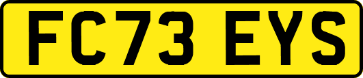 FC73EYS