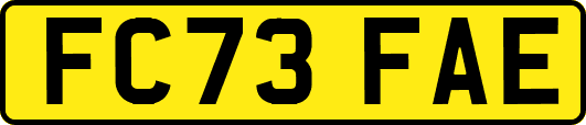 FC73FAE